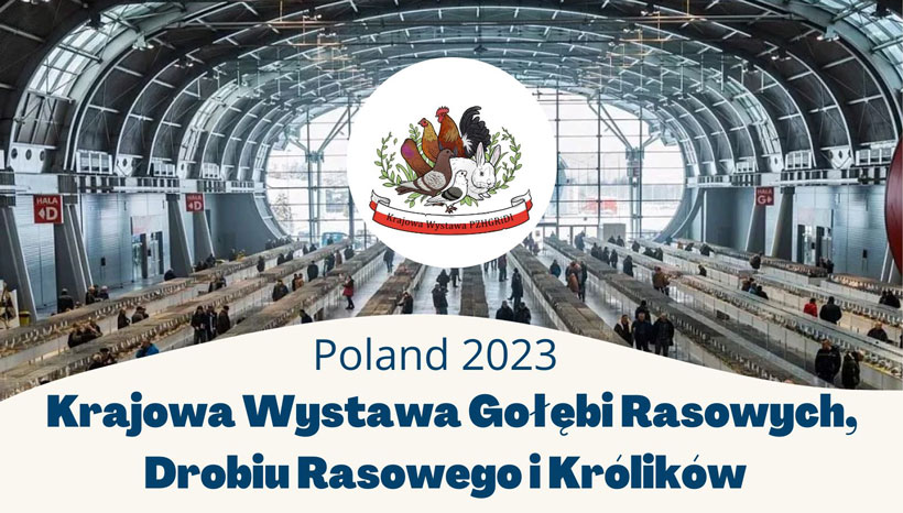 Krajowa Wystawa Gołębi Rasowych, Drobiu Rasowego i Królików 2023 - Kielce